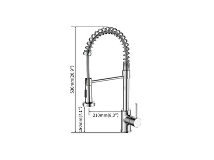 Keukenkraan - Uitneembare uitloop - Mibora Chroom - 53cm